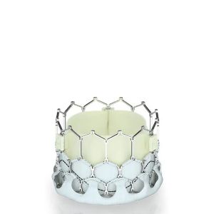 stenti-і-klapani-3 Стенти і клапани